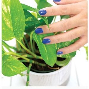 Greeking Out nail strip-Color Street